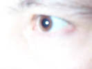 eye.jpg