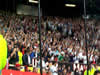 Fulham Fans